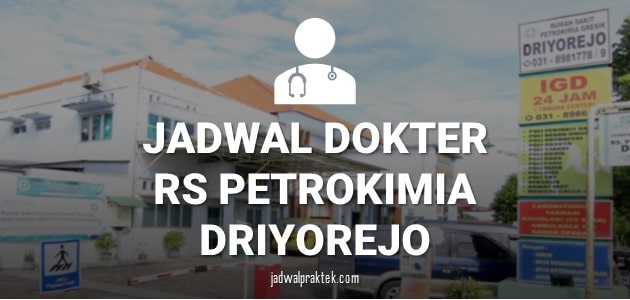 JADWAL DOKTER RS PETROKIMIA GRESIK DRIYOREJO